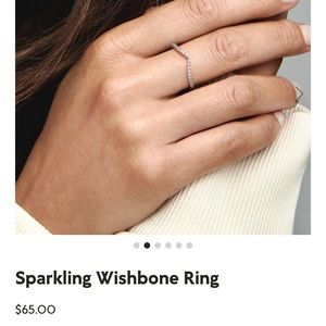 Pandora Wishbone Set